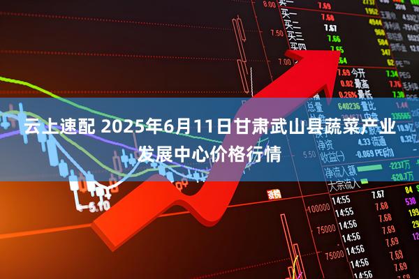 云上速配 2025年6月11日甘肃武山县蔬菜产业发展中心价格行情