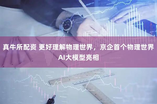 真牛所配资 更好理解物理世界，京企首个物理世界AI大模型亮相