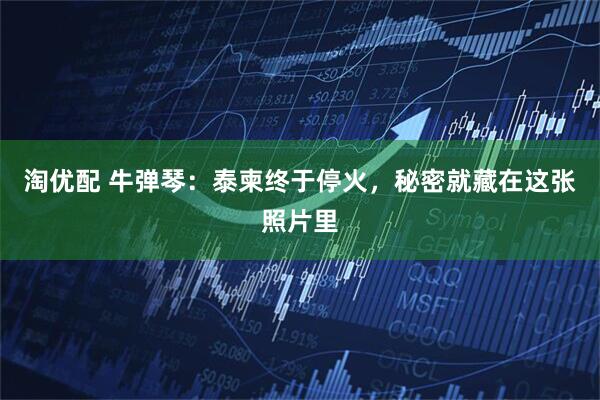 淘优配 牛弹琴：泰柬终于停火，秘密就藏在这张照片里