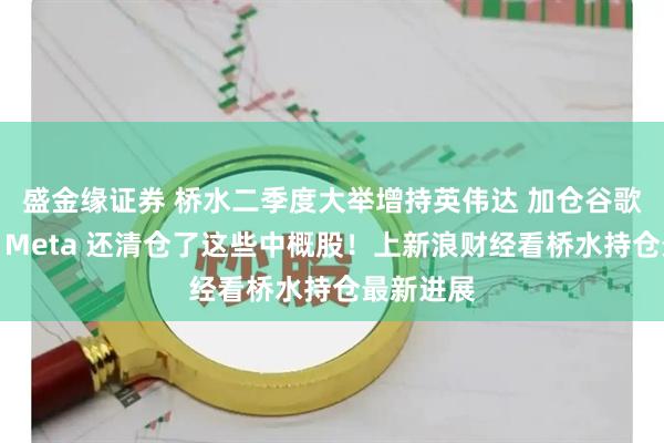 盛金缘证券 桥水二季度大举增持英伟达 加仓谷歌、微软、Meta 还清仓了这些中概股！上新浪财经看桥水持仓最新进展