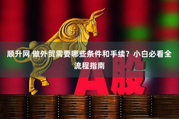 顺升网 做外贸需要哪些条件和手续?小白必看全流程指南